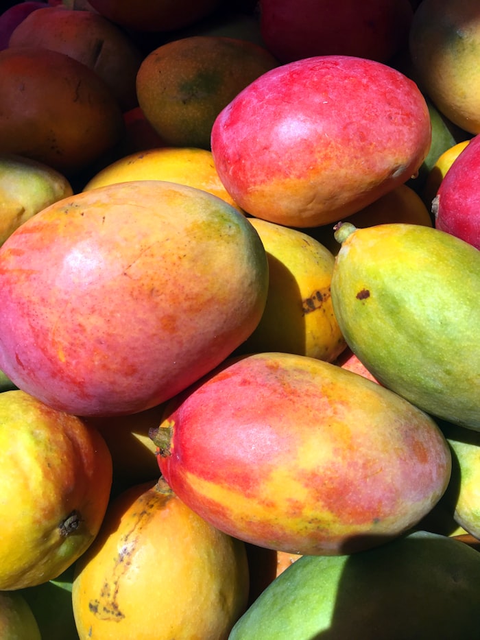 Red-blushed mangoes piled in sunlight